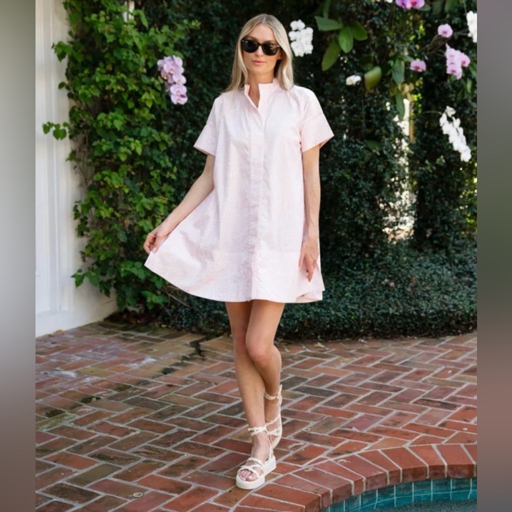 Julia Amory Twiggy Dress - Light Pink